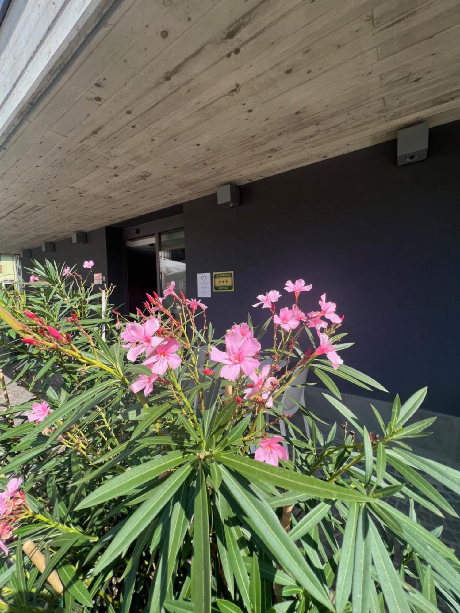 San Valentino Hotel Villa di Serio Eksteriør billede